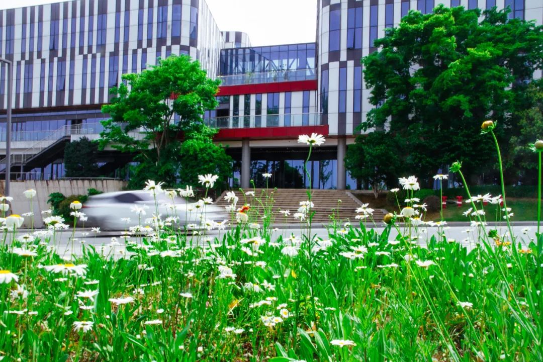 不仅是办公场所，更是企业名片，宝朗科技、和朗科技重塑总部商务形象